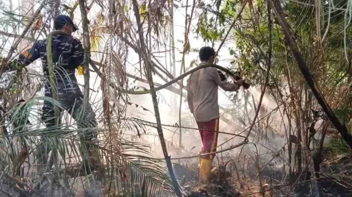 Kebakaran Lahan 12 Hektare di Lingga, Petugas Berjuang Kendalikan Kobaran Api